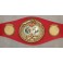 'IRON' MIKE TYSON  Hand Signed IBF Fullsize Belt   JSA  COA * Buy Genuine *