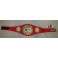 'IRON' MIKE TYSON  Hand Signed IBF Fullsize Belt   JSA  COA * Buy Genuine *