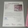 BRUCE SPRINGSTEEN Hand Signed 1:18 Pink Cadillac + JSA COA