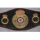 'IRON' MIKE TYSON  Hand Signed WBA Fullsize Belt   JSA  PSA  BAS COA * Buy Genuine *