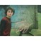 Daniel Radcliffe  'Harry Potter'  Hand Signed 11" x 14" Colour Photo 2 + PSA/ Beckett COA