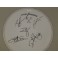 PowderFinger 2010 Hand Signed Band Drumskin +  JSA + 100% Proof